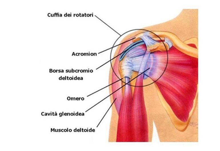 Soffri Di Dolore Alla Spalla E Senti Il Braccio Debole Centro Medico Forma Sana Brugherio